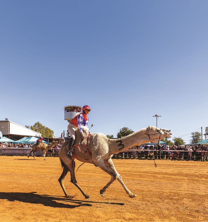 Boulia beaver jockey on dolly camel from anna bay nsw