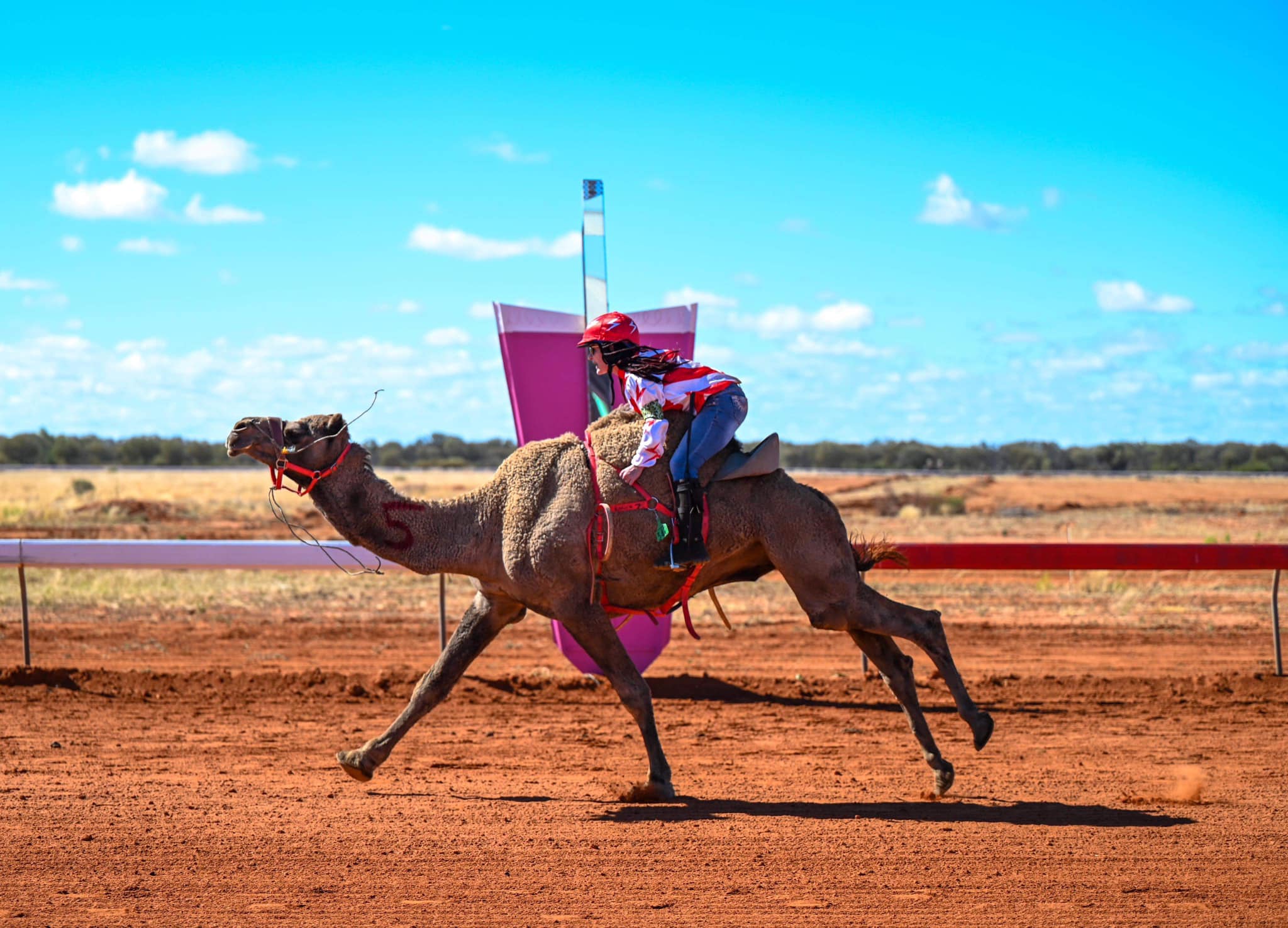 Jundah camel races