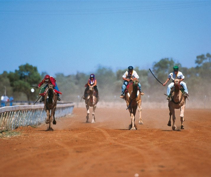 Winton camel races