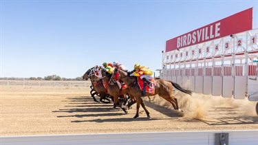 Birdsville-Races10.jpeg