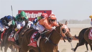 Birdsville-Races2.jpg