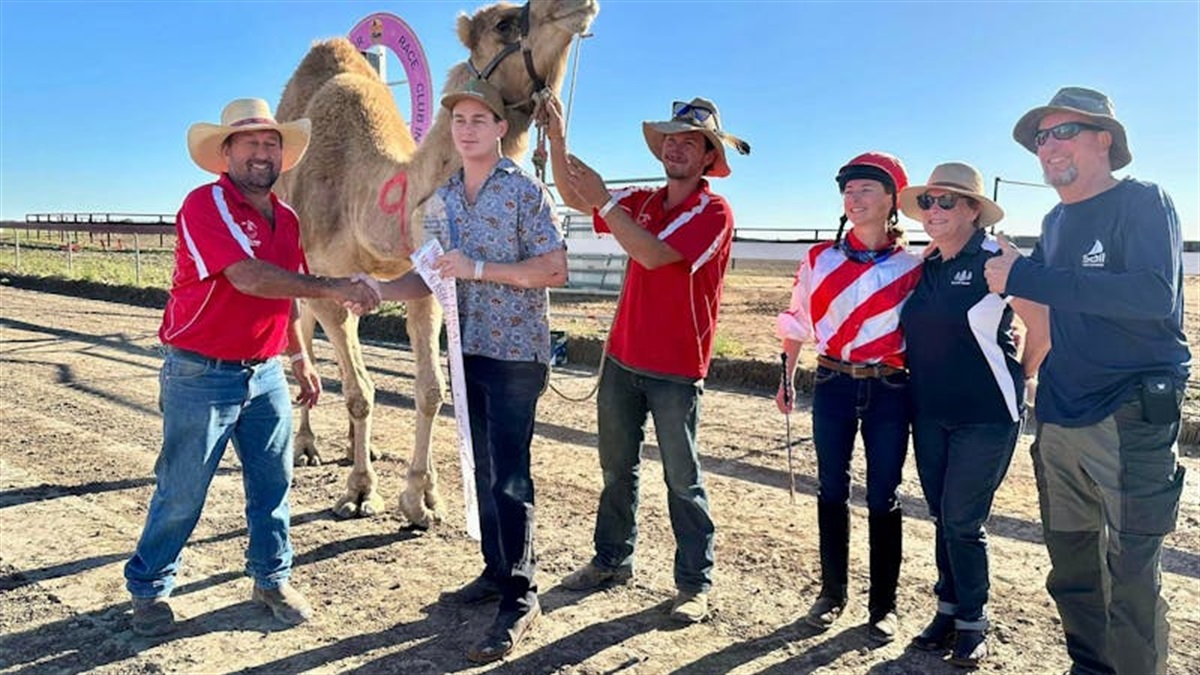 Bedourie Camel Races | Diamantina Shire Council