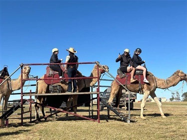 Birdsville Carnival - camel rides