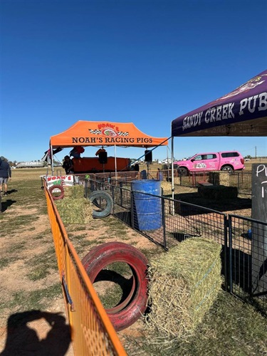 Birdsville Carnival - pig races